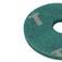 Disco limpador de fibra para enceradeira 350 mm verde - HB004413025