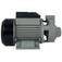 Motobomba perif�rica 1/2 hp vaz�o de 28 L/min - SGT-5700-PRO  220V