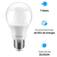 L�mpada led bulbo 7W 540 l�mens branca fria - LEDA55  110V/220V